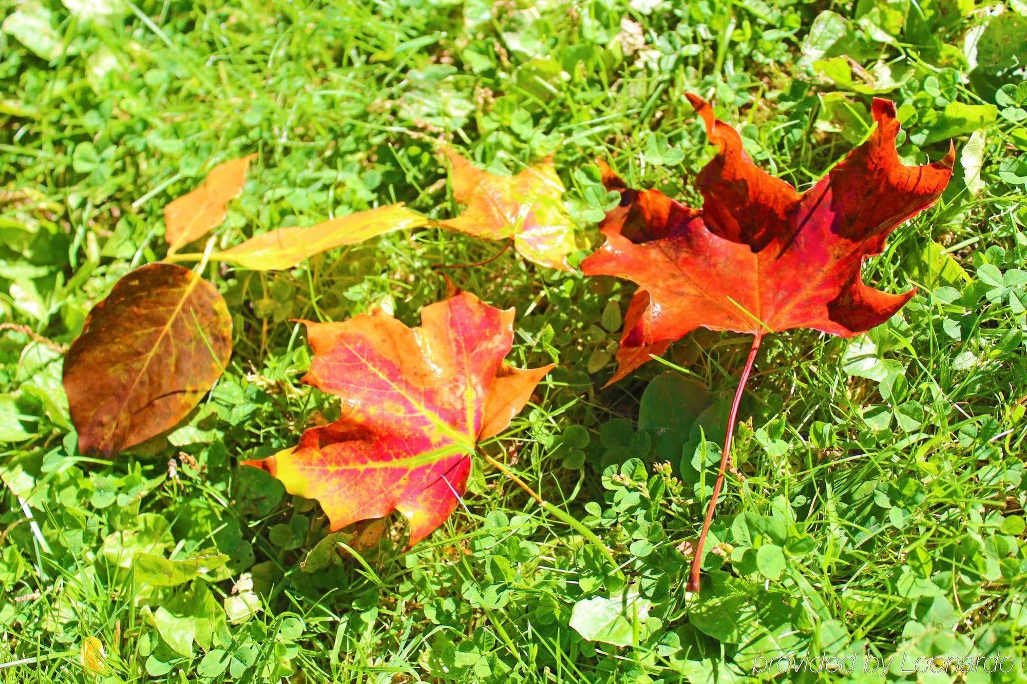 Heart Of The Village Bed & Breakfast In Shelburne Vt Εξωτερικό φωτογραφία